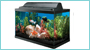 Discount Pet Supplies has a large variety of aquariums for saltwater & freshwater pet fish in Charlotte NC