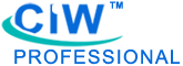 Certified Internet Webmaster