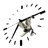 Animated Mouse Gif