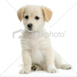 Photo Copyright and Provided by iStockphoto