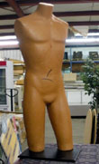 male torso mannequin