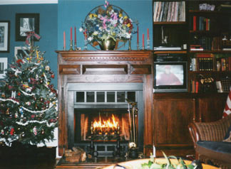 Custom built shelves and bookcases in Charlotte, Greensboro and Raleigh NC.